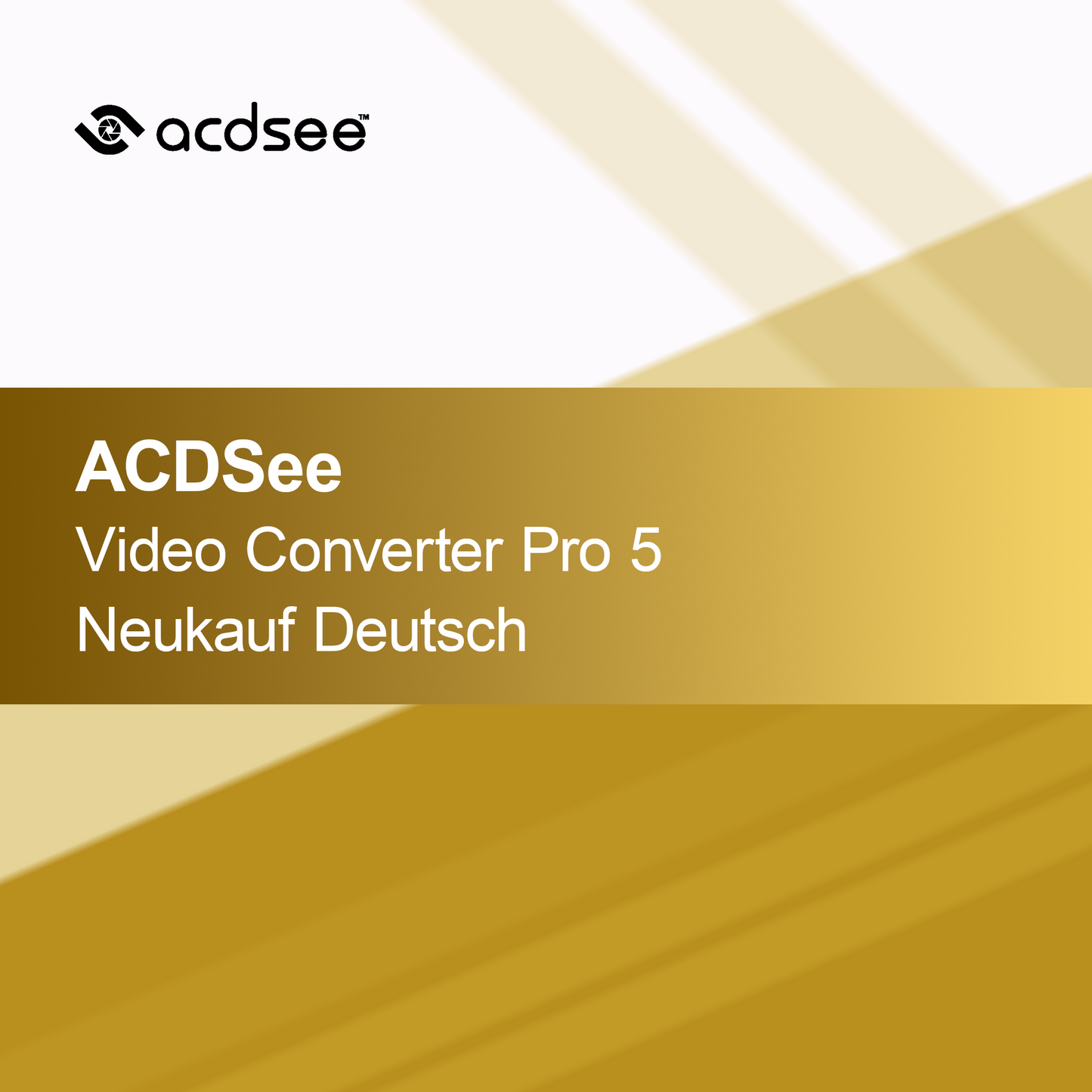 ACDSee Convertidor de Video Pro 5